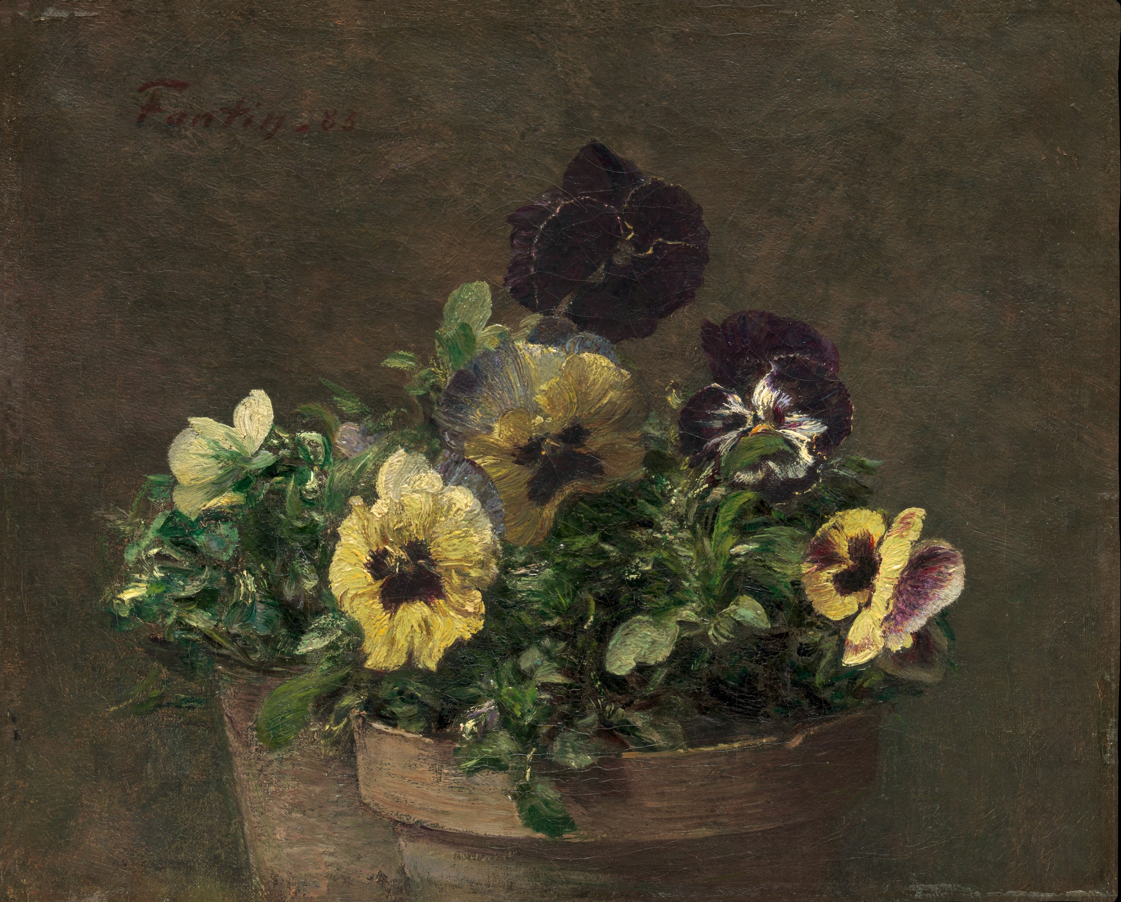 A3 Art Print titled Potted Pansies by Henri Fantin-Latour for room decor