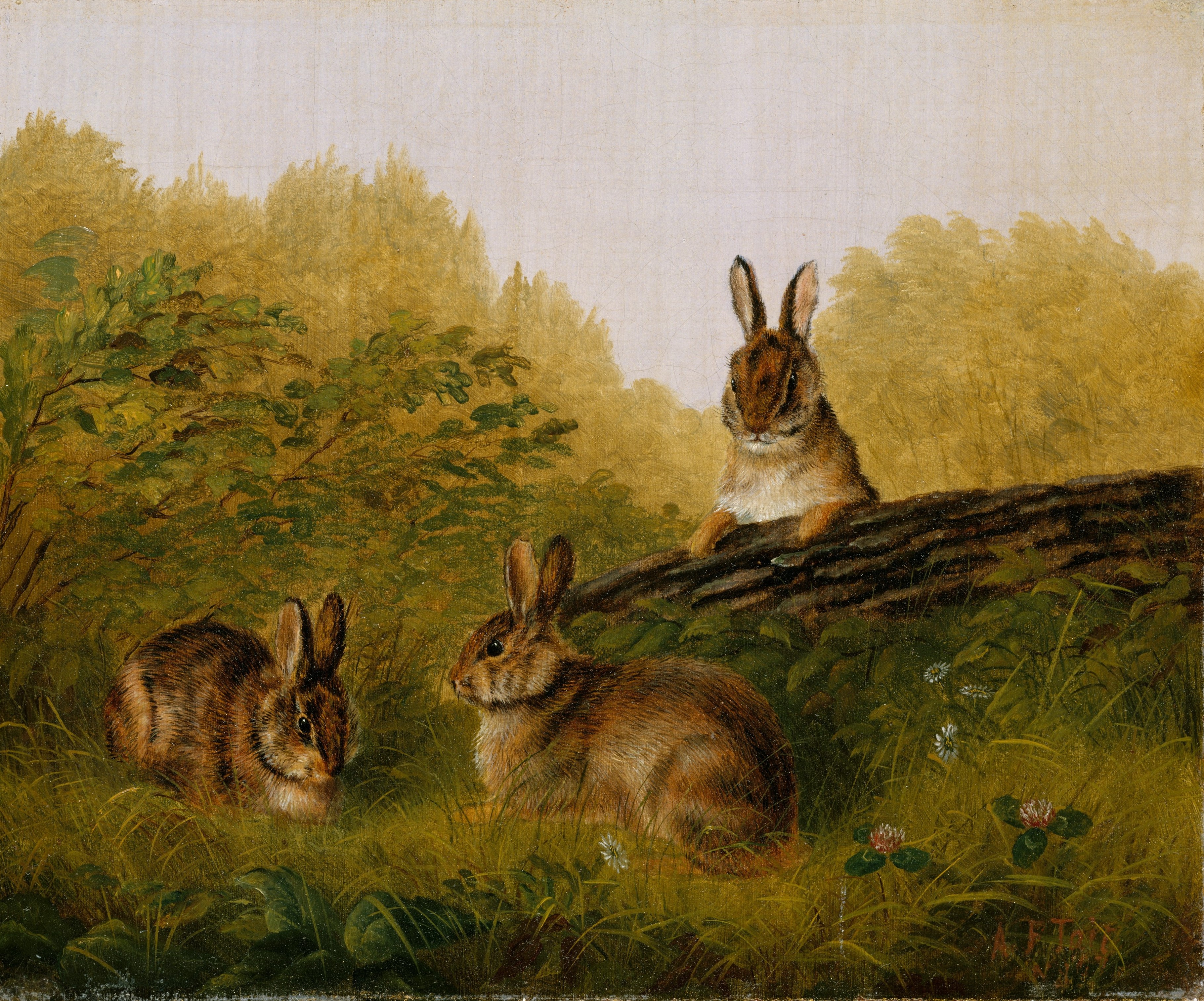 A3 Art Print titled Rabbits on a Log by Arthur Fitzwilliam Tait for room decor