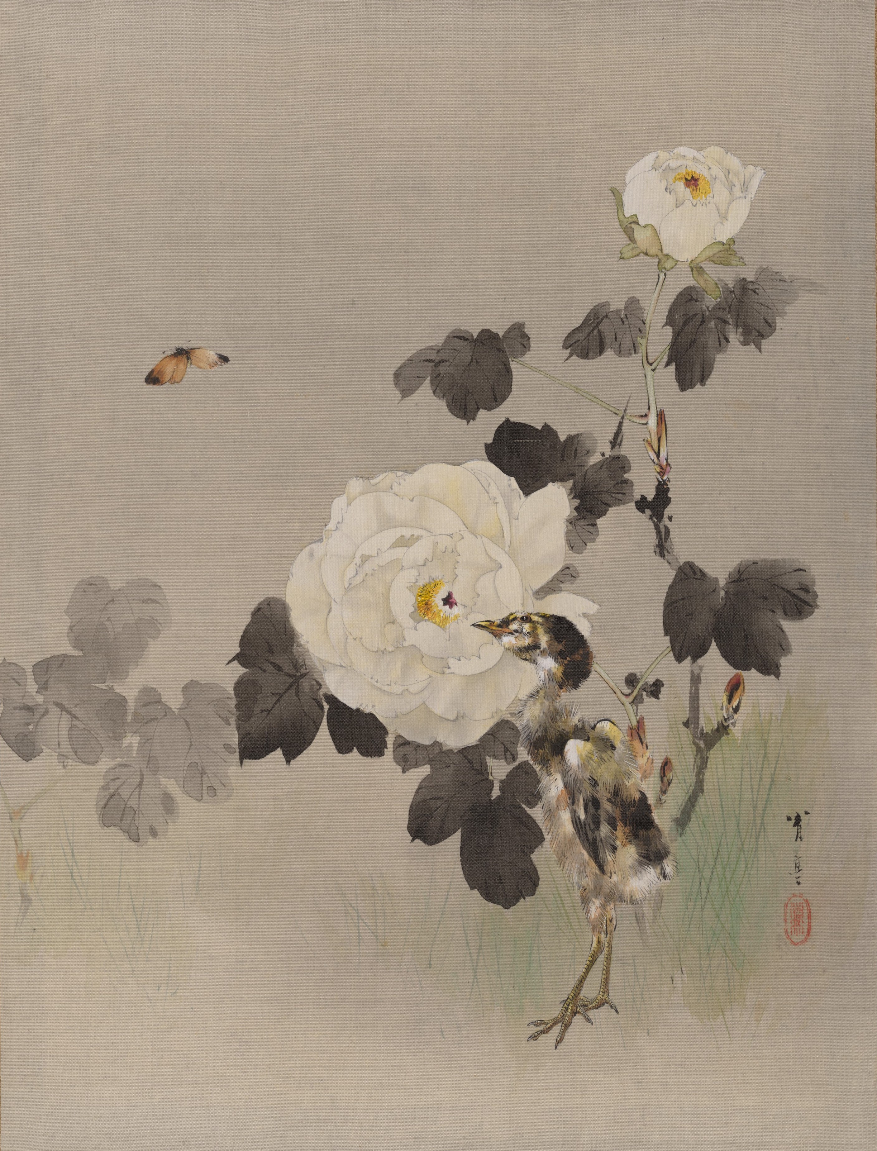 A3 Art Print titled Roses, Young Bird and a Butterfly by Watanabe Seitei for room decor