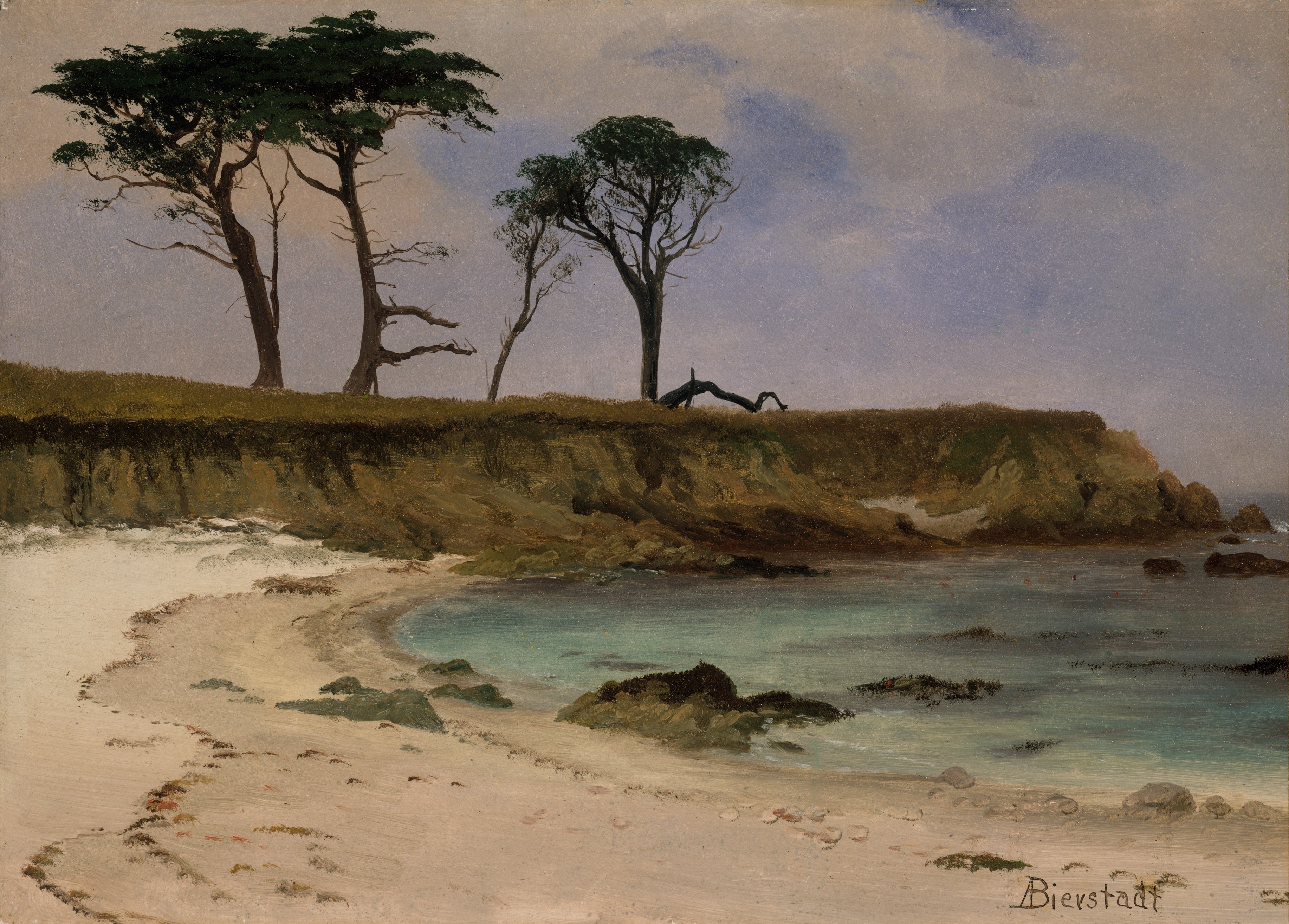 A3 Art Print titled Sea Cove by Albert Bierstadt for room decor