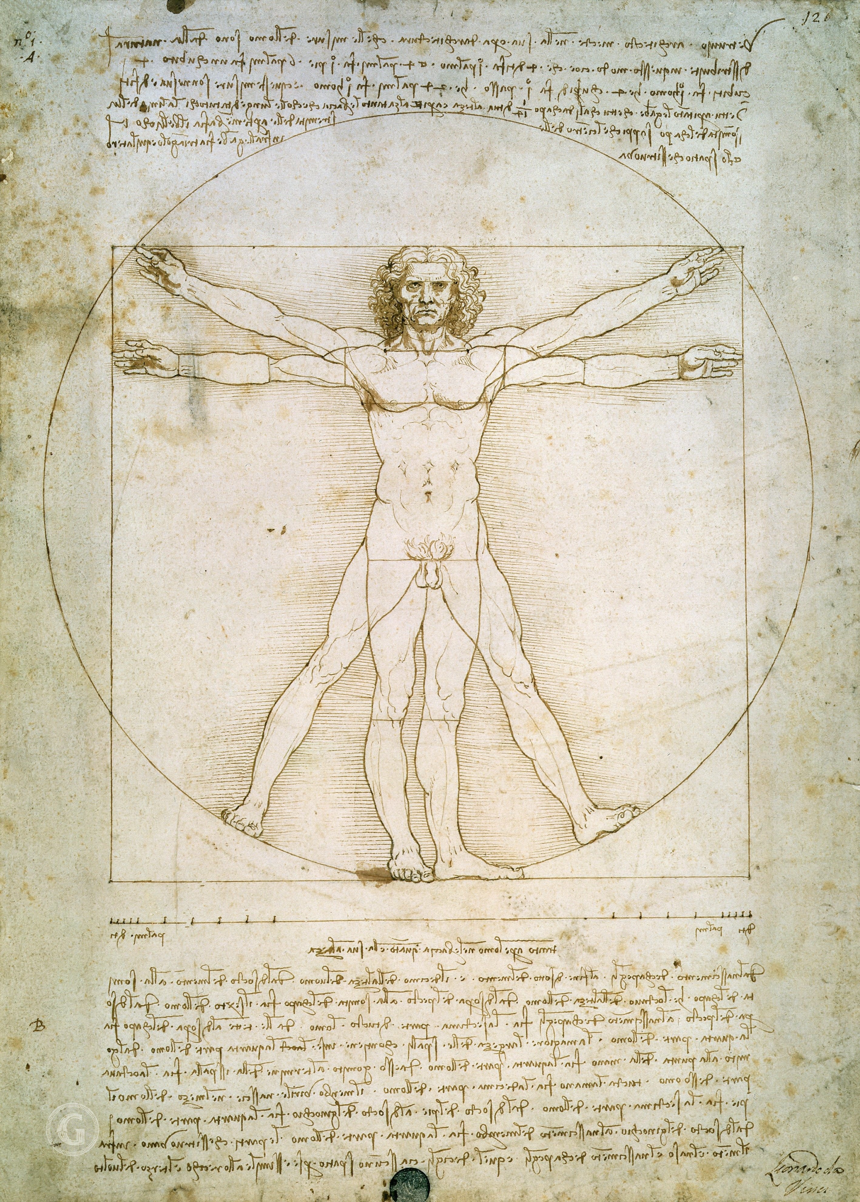A3 Art Print titled Vitruvian Man by Leonardo Da Vinci for room decor