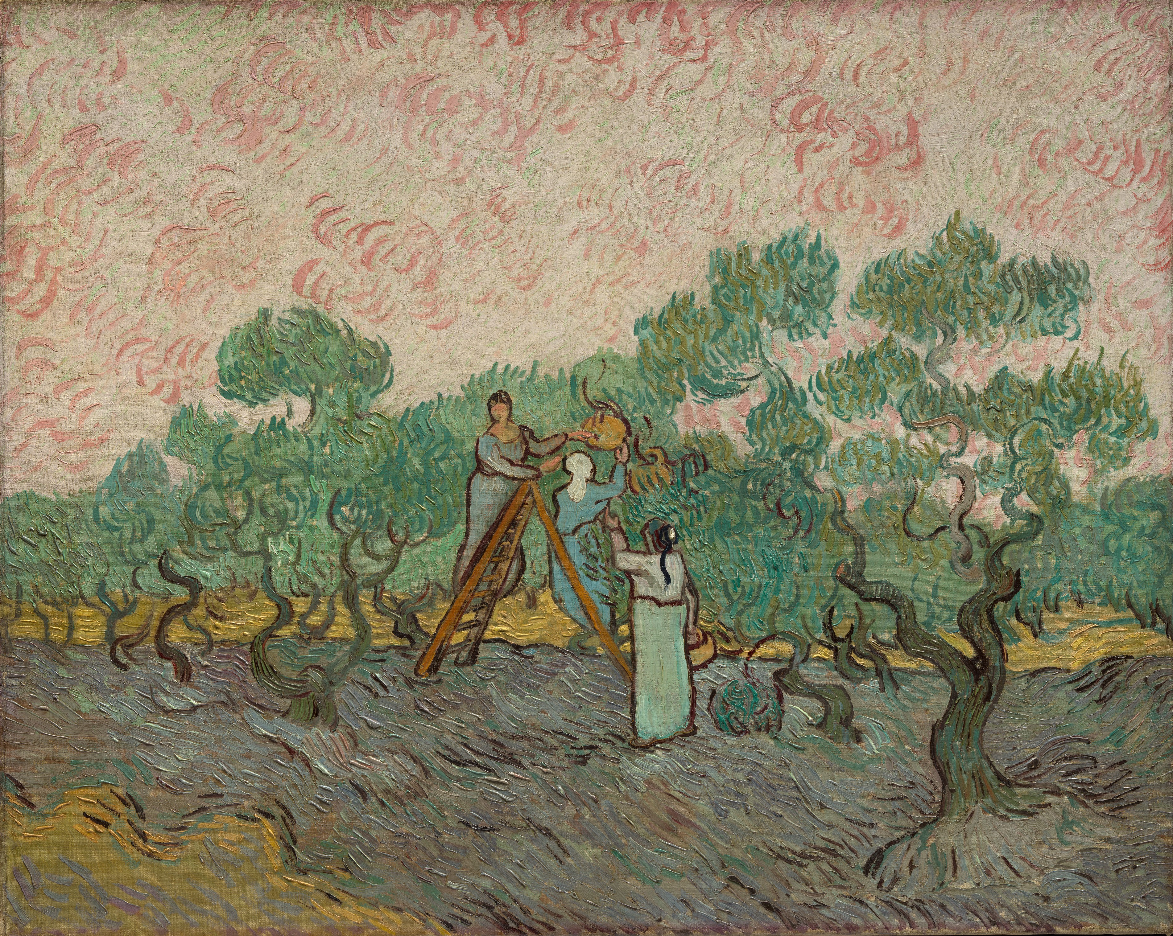A3 Art Print titled Women Picking Olives by Vincent Van Gogh for room decor