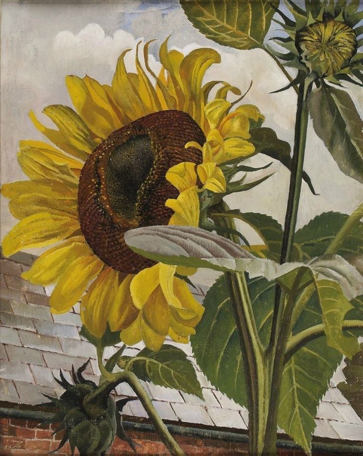 A3 Art Print titled Sunflower by Stanley Spencer for room decor