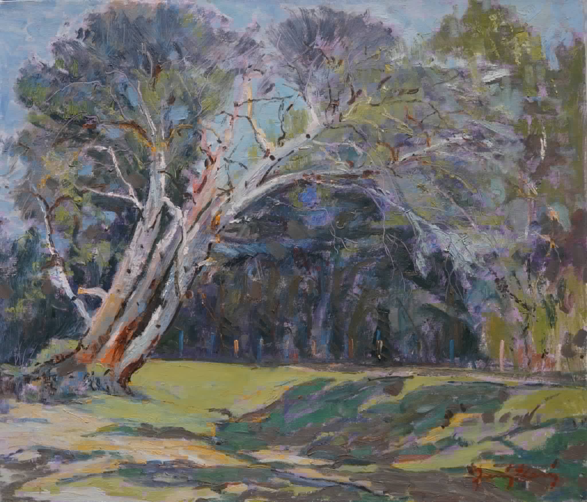 Original Painting titled Forest of Divjaka by Z.E.