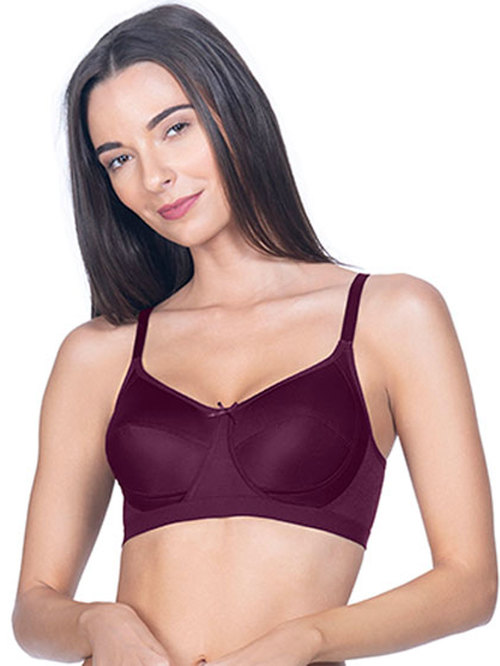 Amante Burgundy Non Wired Non Padded Everyday Bra Price in India