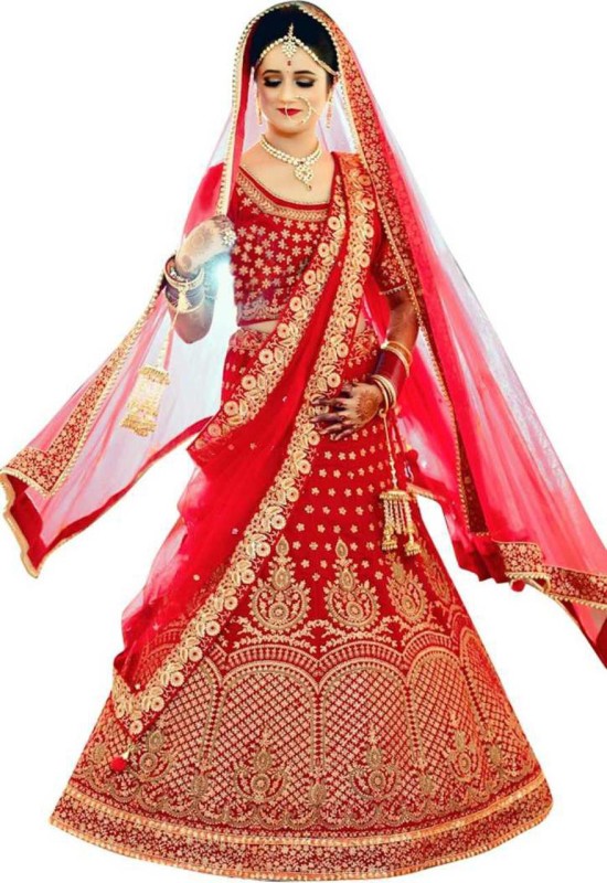 Embroidered Semi Stitched Lehenga Choli Price in India