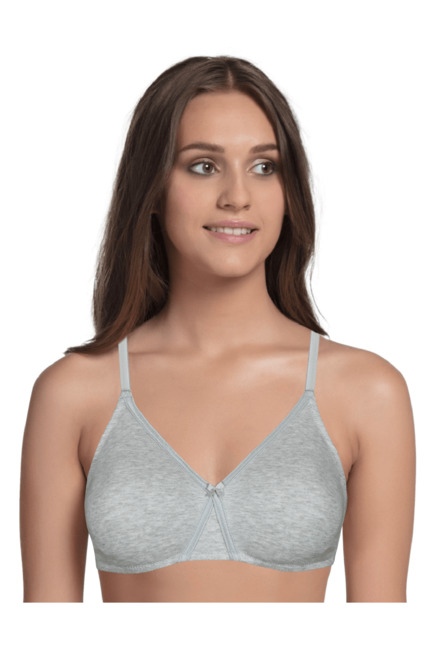 Enamor Grey Non Wired Non Padded T Shirt Bra Price in India