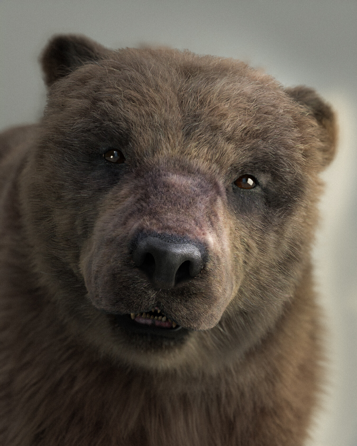 3D Animal Collection - Bears