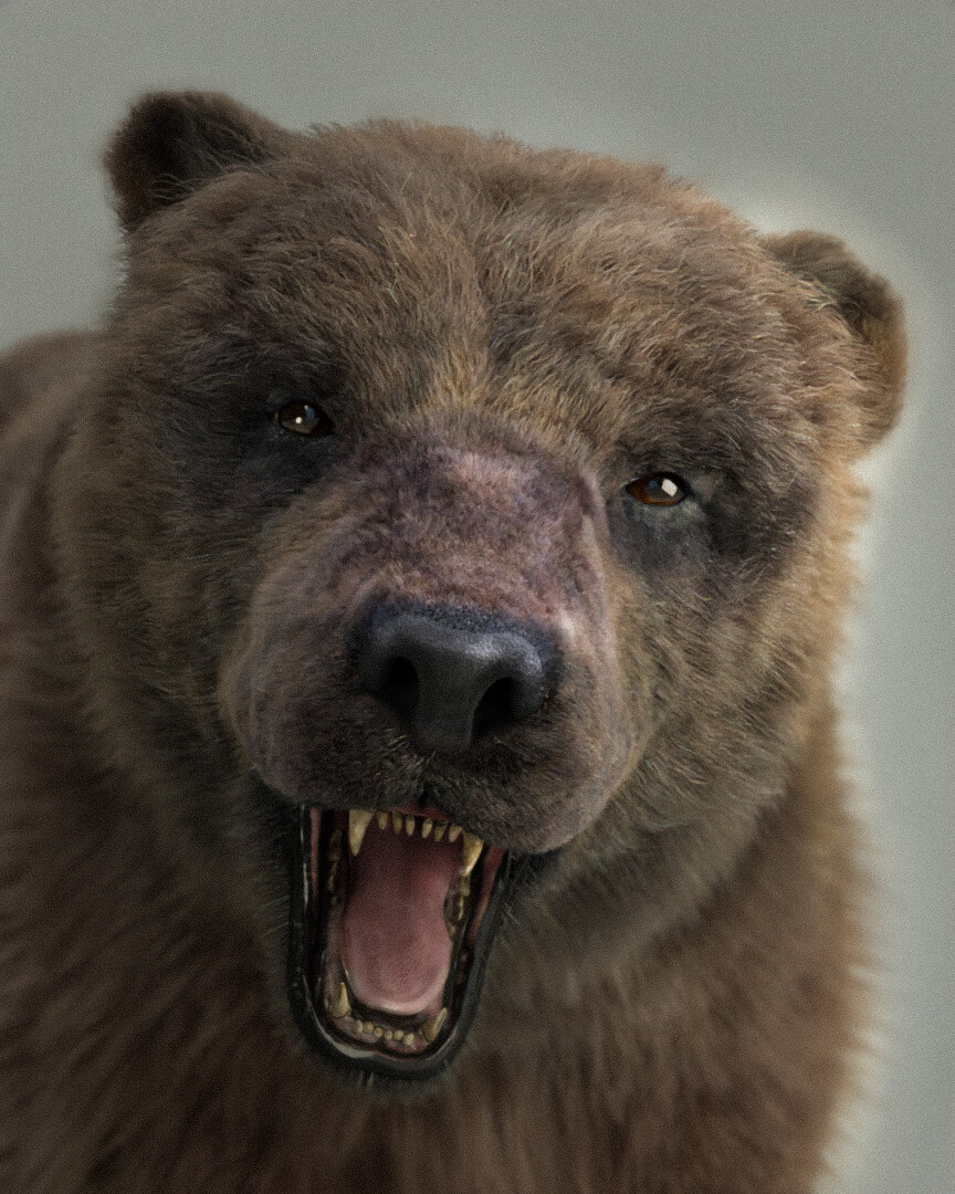 3D Bear Model - Variant 3