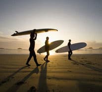 Surf Shops & Schools