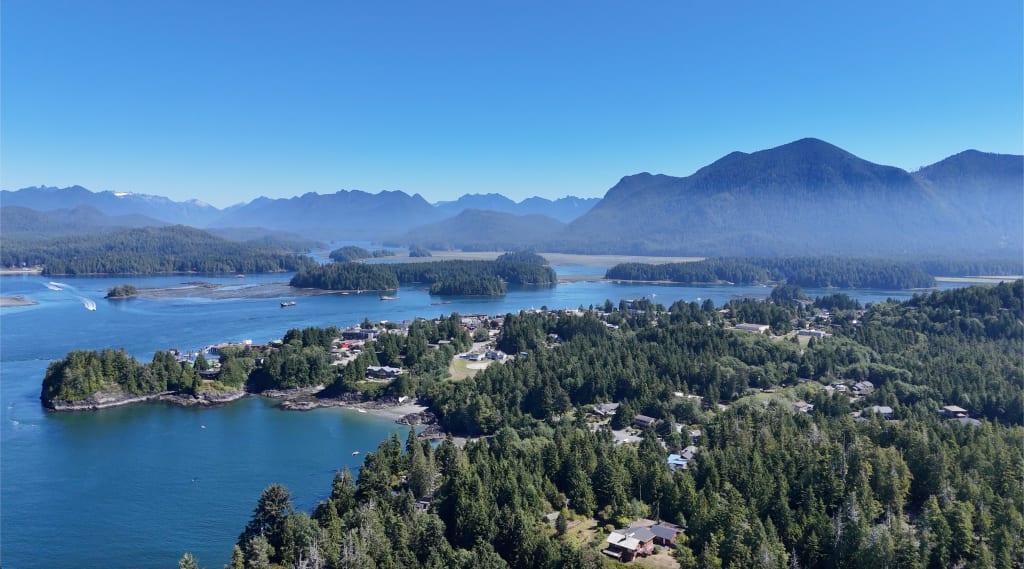 Tofino town aerial