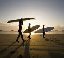 Surf Shops & Schools