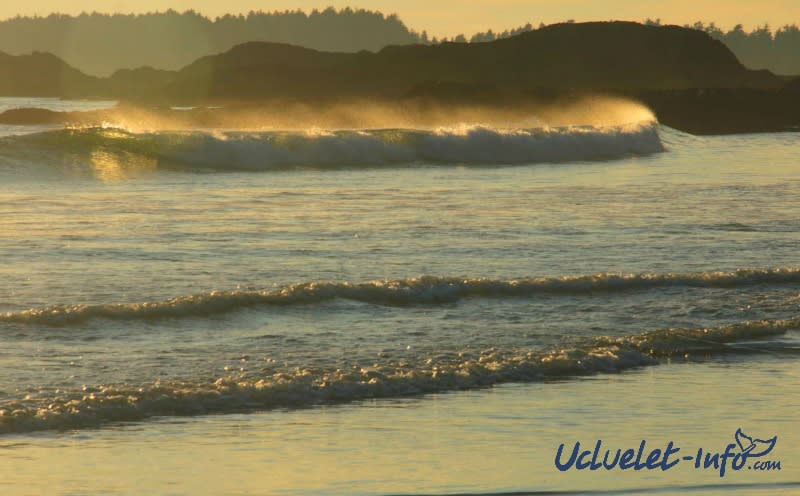 Beaches