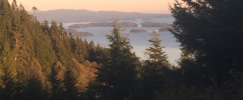 5 Reasons to Finally Ascend Mount Ozzard