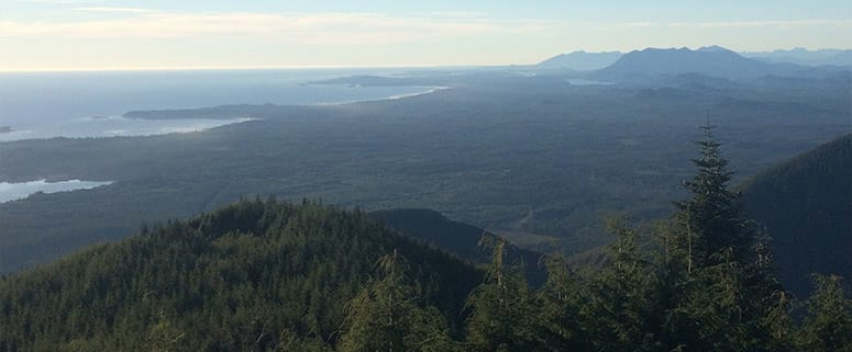 5 Reasons to Finally Ascend Mount Ozzard