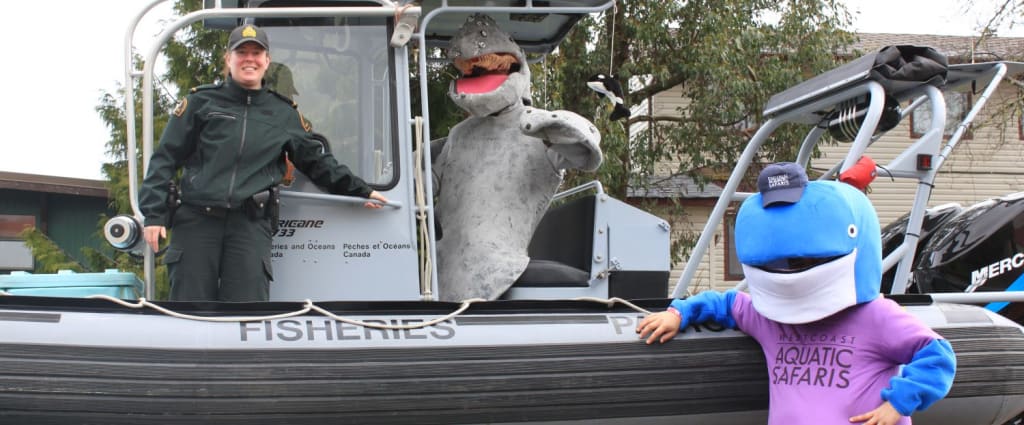 The Pacific Rim Whale Festival – 31 Years of Celebration