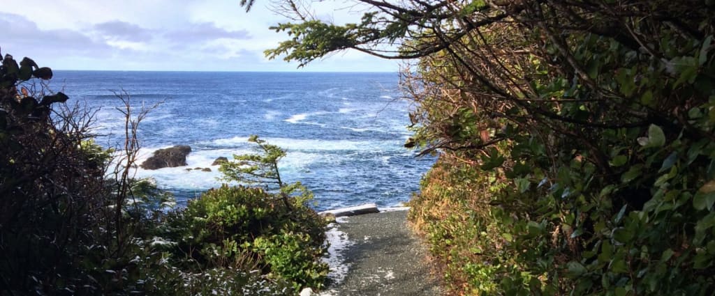 The History of the Wild Pacific Trail