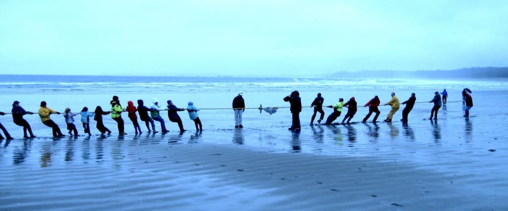 The Pacific Rim Whale Festival – 31 Years of Celebration