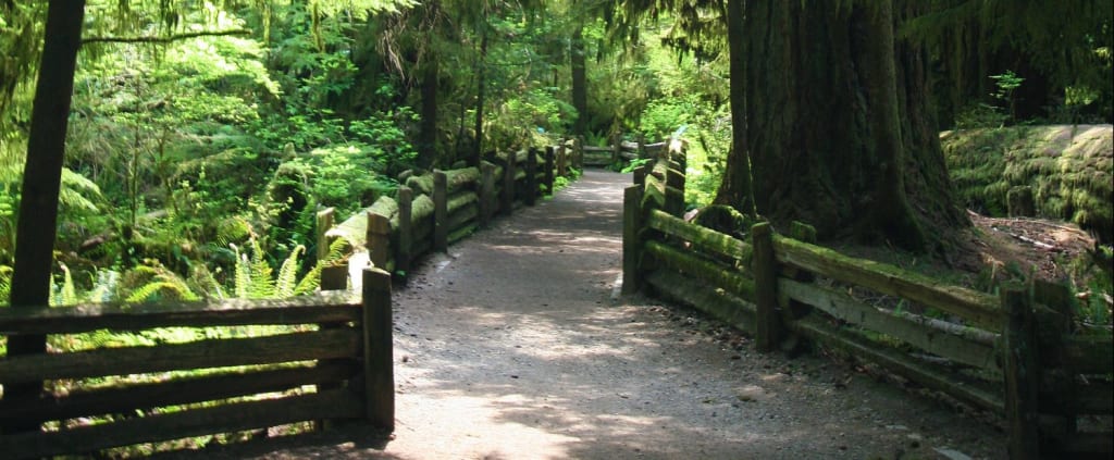 Pros and Cons of Staying in Ucluelet vs. Tofino