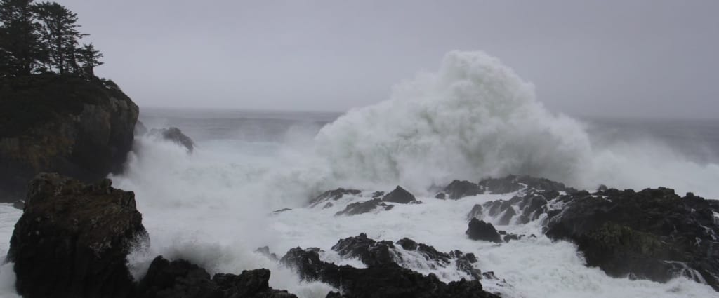 Pros and Cons of Staying in Ucluelet vs. Tofino