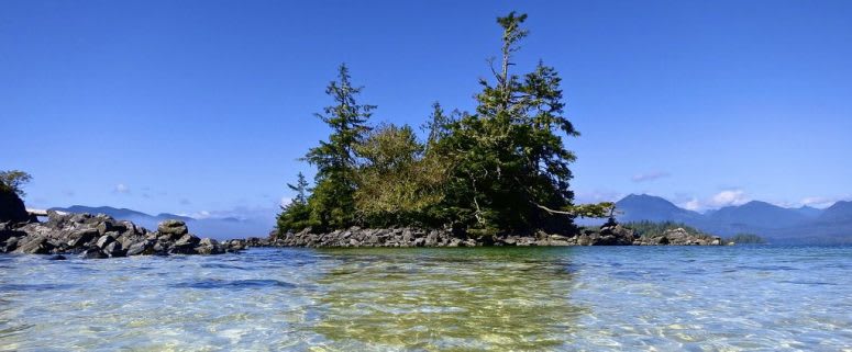 Kayaking in Ucluelet, B.C. – Things to Know, Tours and Tips
