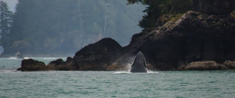 A Day in the Life: Ucluelet, B.C.