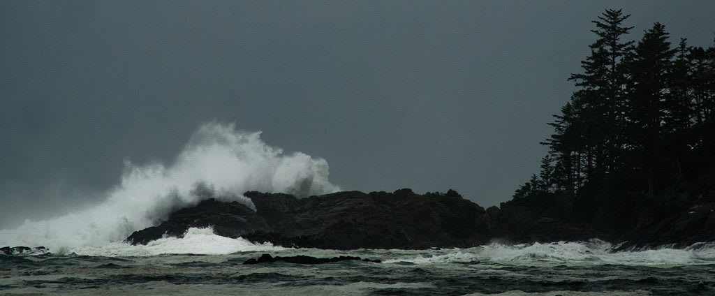 Ten Reasons to Visit Ucluelet in the Winter