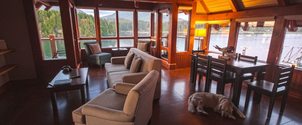 Visiting Ucluelet with Your Dog