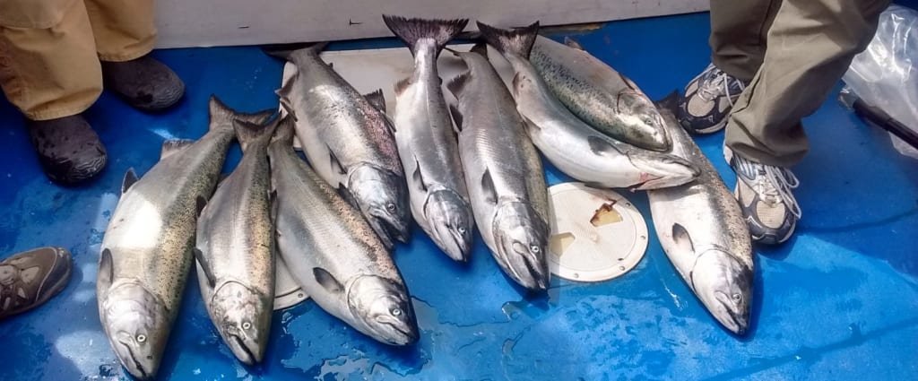 History of Fishing in Ucluelet