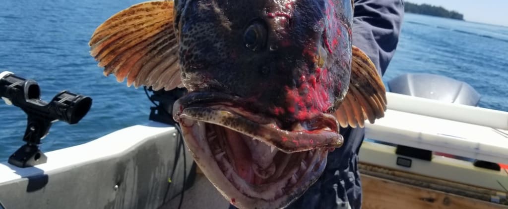 History of Fishing in Ucluelet