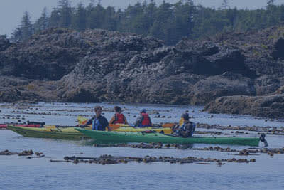 Kayaking