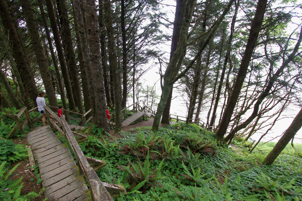 Florencia Bay Trail Roy Luck
