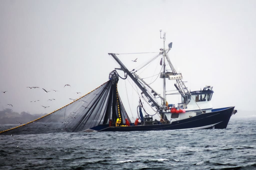 A commercial fishing boat hauling in its nets off Ucluelet