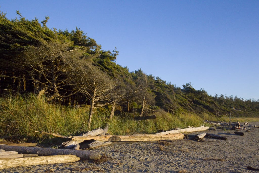 Cox Beach, Tofino