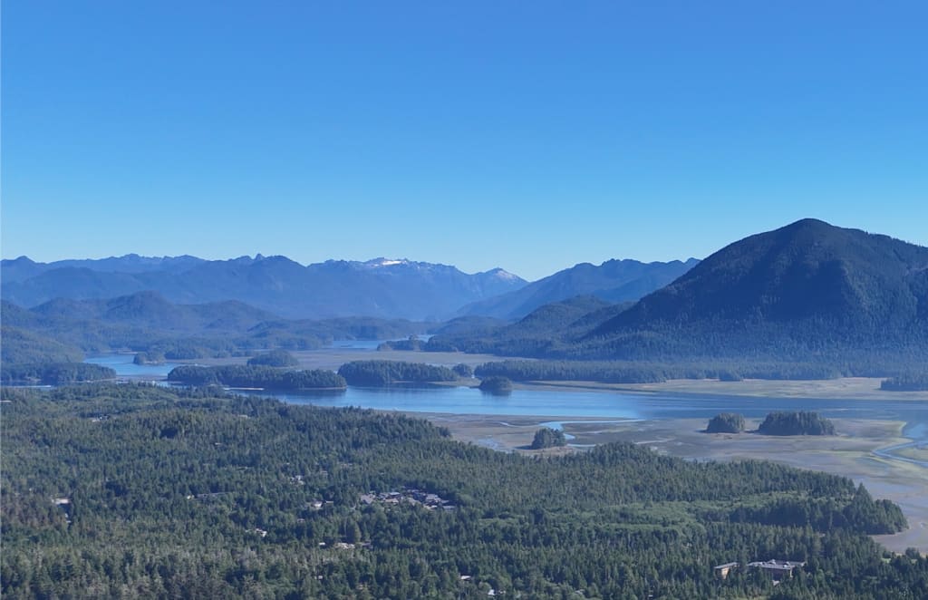 Grice Bay, Tofino