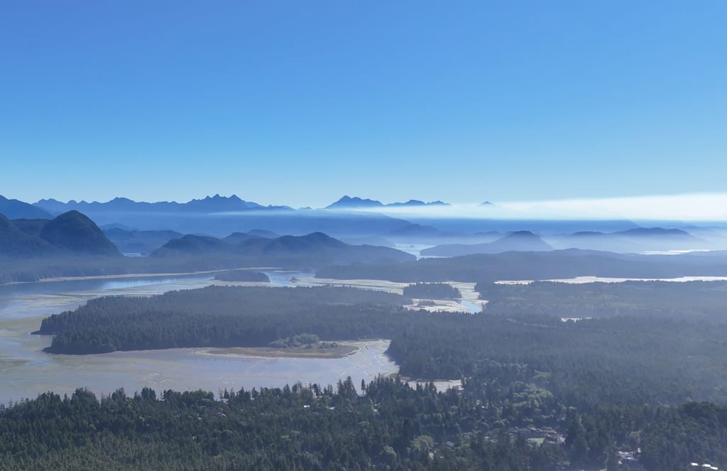 Grice Bay, Tofino