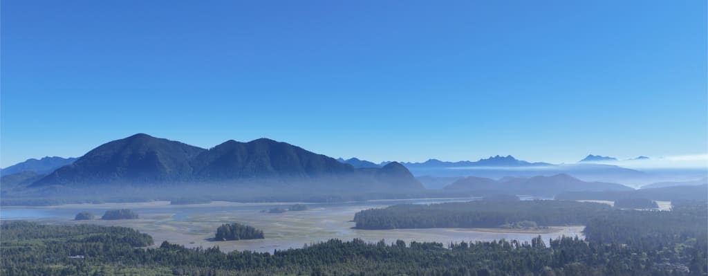Grice Bay, Tofino