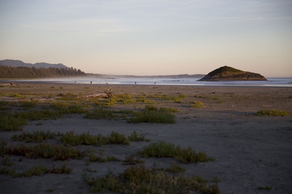 A wide stretch of sand at Long Beach meeting the surf