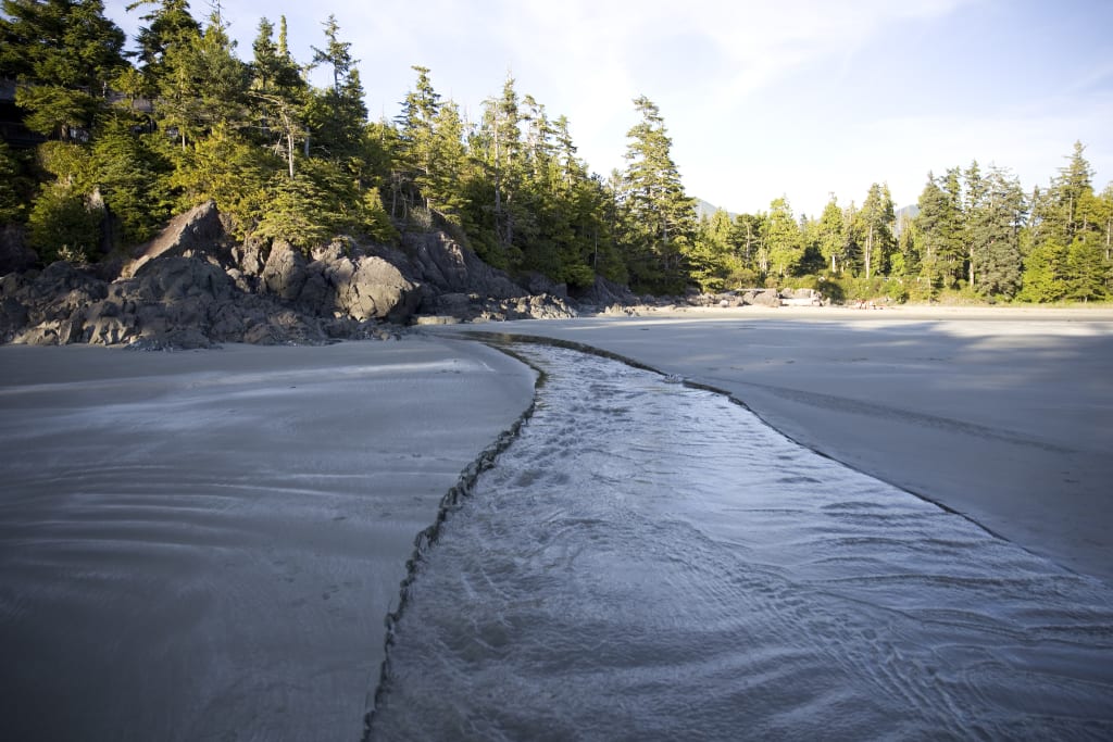 Mackenzie Beach, Tofino