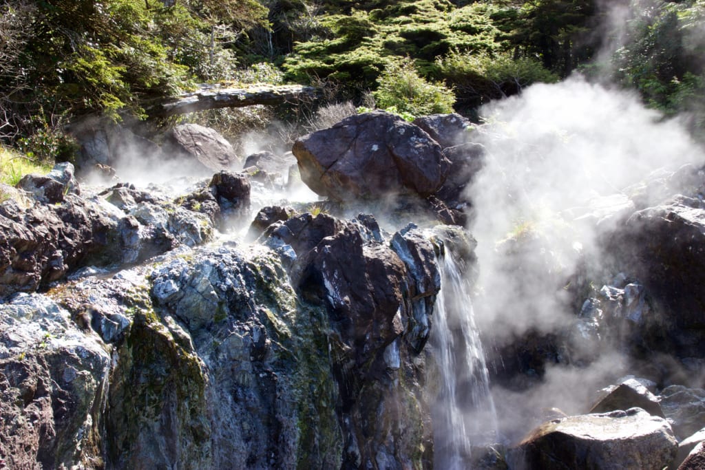 Hotsprings, Tofino