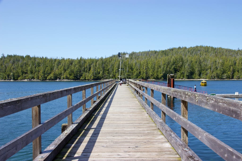 Hotsprings, Tofino