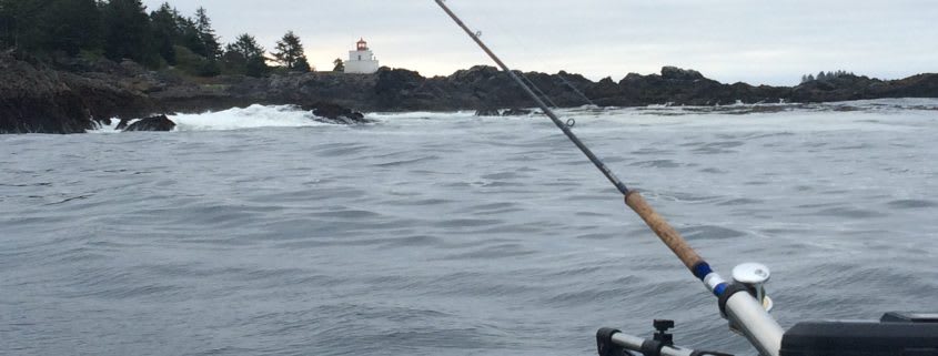 Tyee Time in the Sound