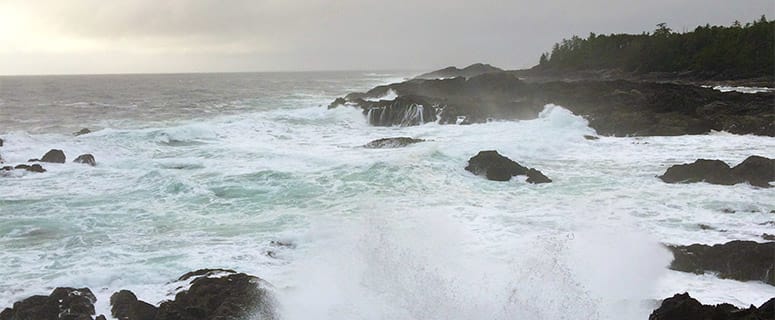 Ten Reasons to Visit Tofino in the Winter