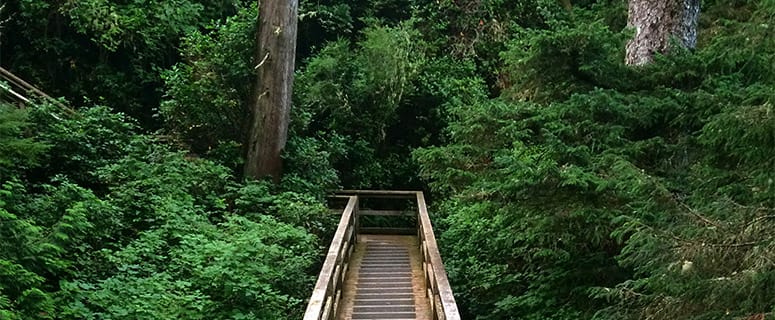 Heading to Tofino? Read this First!