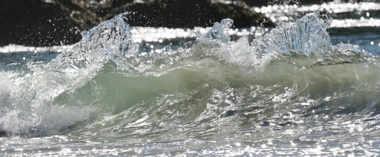 Pacific Ocean Fun Facts