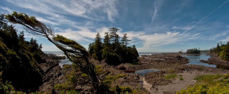 Day Trips to Take from Tofino