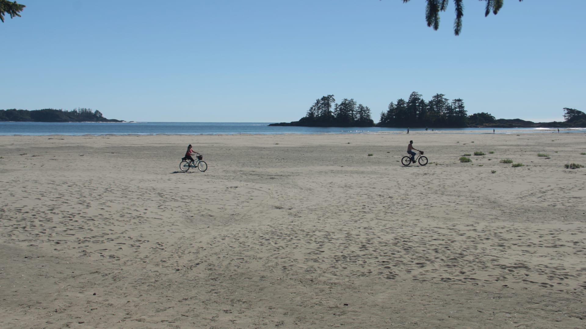 Tofino beach and coastline