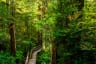 Trails Photos