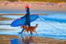 Surfing Schools