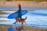 Surfing Schools